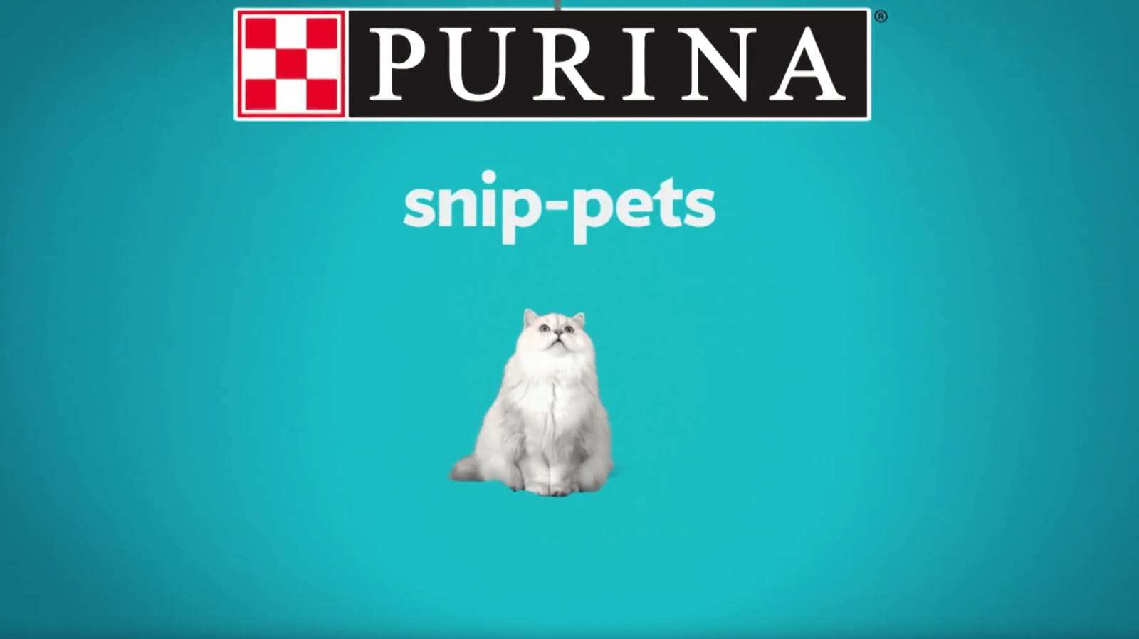Purina Snip-Pets title card
